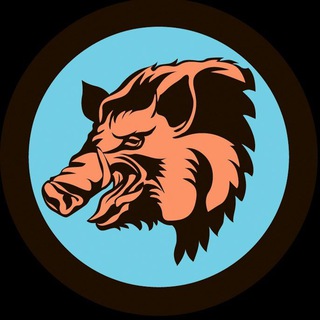 Іконка Telegram каналу Корюківські партизани