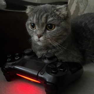Іконка Telegram каналу 🌱Котяча м'ята🐈🎮