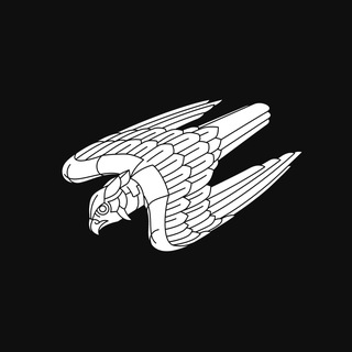 Іконка Telegram каналу ББС Небесна Кара