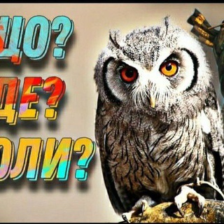 Іконка Telegram каналу Що?Де?Коли?ЮА