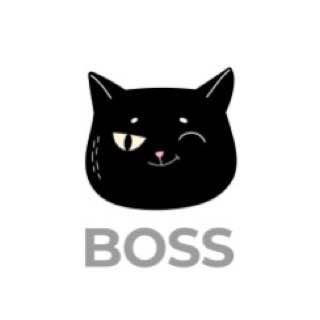 Іконка Telegram каналу CATBOSS | Про карʼєру та ТОП-менеджмент
