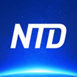 Іконка Telegram каналу NTD Ukraine