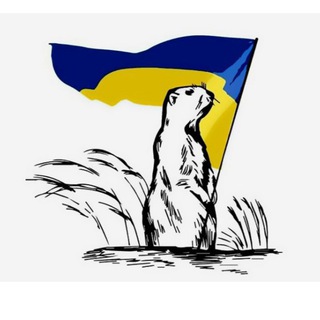 Іконка Telegram каналу КУП'ЯНСЬК Gromada Group | Вузловий Ківшарівка Великий Бурлук Вільхуватка Дворічна Кіндрашівка Курилівка Петропавлівка Шевченкове