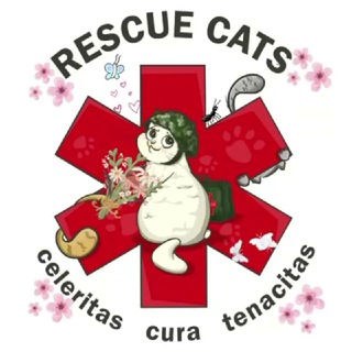 Іконка Telegram каналу RESCUE CATS