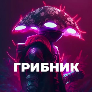 Іконка Telegram каналу Грибник🇺🇦