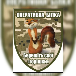 Іконка Telegram каналу 💙💛ОПЕРАТИВНА БІЛКА 🐿️
