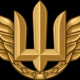 Іконка Telegram каналу Полковник ГШ