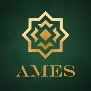 Іконка Telegram каналу Це AMES: коментарі, оцінки, погляди