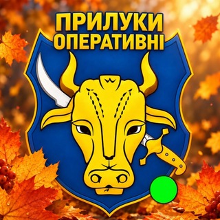 Іконка Telegram каналу 🛡 Прилуки Оперативні